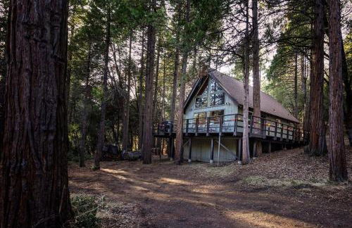 Trout River Cabin - Cozy Quiet Peaceful Retreat - Foto 29