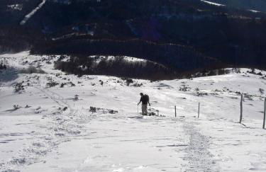 Les FEICHES et MARGUERITES - Foto 32