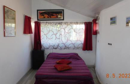 la garrigue - Foto 6