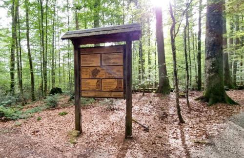 Schoenes 1 Zimmer, Sauna, Nationalpark, Free Parking - Foto 9