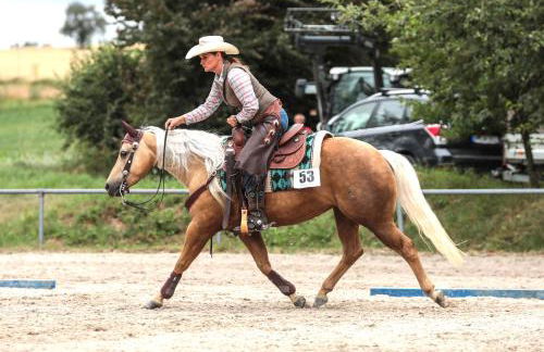 Sonnenhof, Ferienwohnung auf Reitanlage - Foto 35