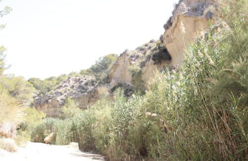 Villa KIP, private pool & jacuzzi surrounded by nature - Foto 32