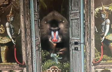 Punto Zero Lux il primo boutique concept a Reggio Emilia - Foto 4