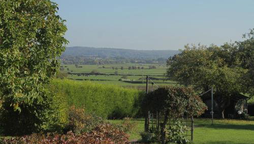 Chacao - Foto 3, Garden view