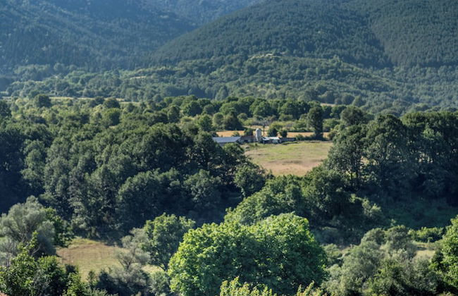 Ktima Bellou - Foto 16