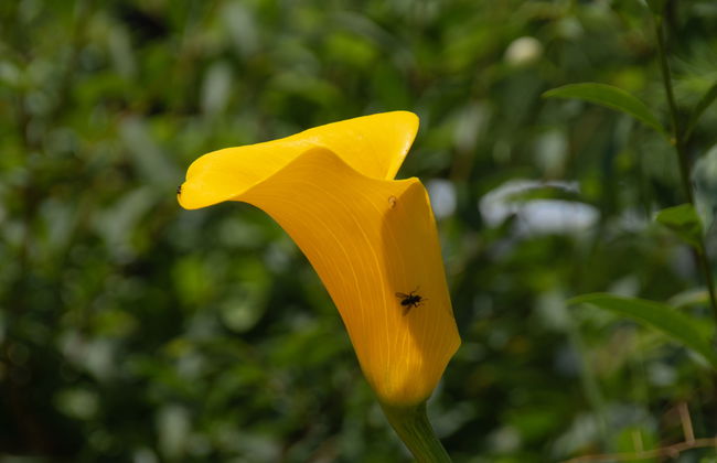 Villa Hofbauer - Foto 21