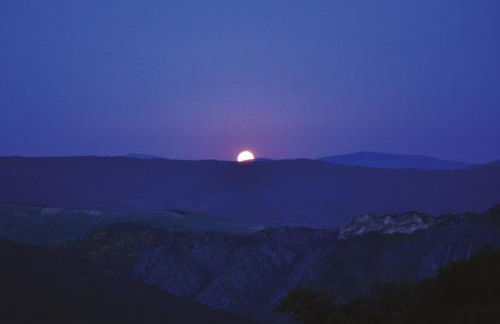 Masseria Straziuso - La Vaccariccia - Foto 51