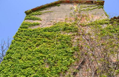 Agriturismo Nestore - Foto 64