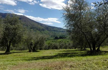 La Fornella dell'Anita - Foto 33