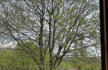 The Loft at Duffryn Mawr Self Catering Cottages - Photo 25