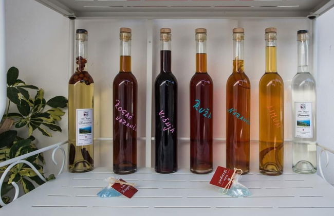 Apartments Villa Dingac - Borak - Photo 75