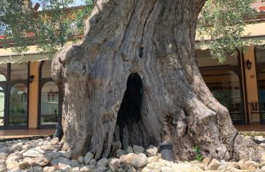 Agriturismo La Terrazza su Farfa - Foto 64