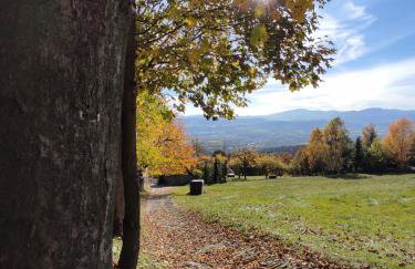 Pieśń Poranka Domek - Foto 50