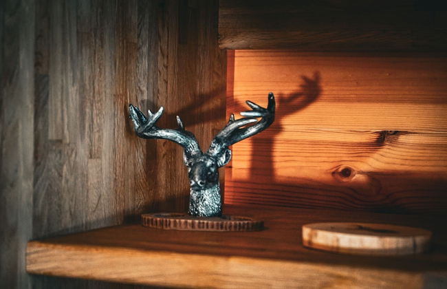 The Firs Country Park - Foto 62