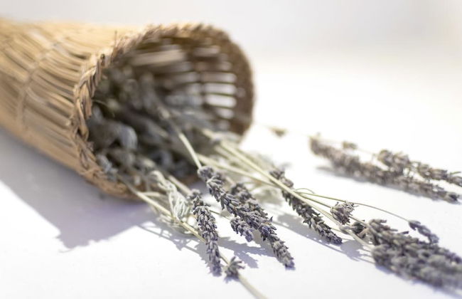 Kalderimi - Photo 42