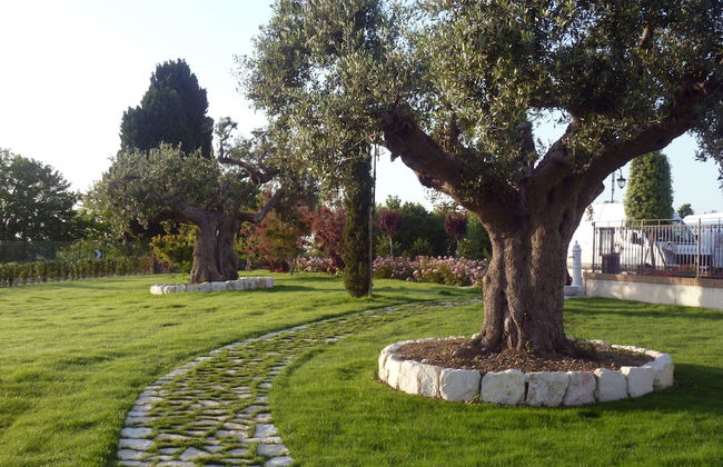 Postiglione Country House - Foto 9