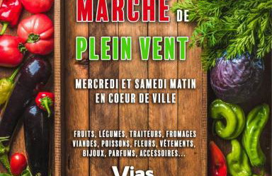 AGENCE JF IMMO-T2 climatise 4 pers avec terrasse vue campagne piscine et parking V0773 - Foto 26