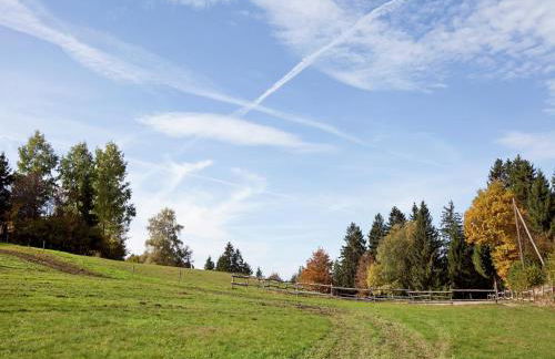 Apartment in Dachsberg-urberg - Foto 52