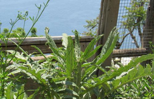 Casa Vacanze Il Libeccio - Foto 51