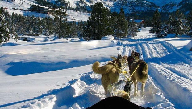 Disfrutando de las vistas desde el trineo