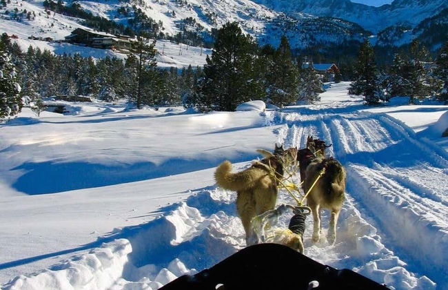 Giro in slitta trainata da cani a Grandvalira - Foto 3