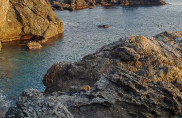 "Casa Sandrina" - Foto 44