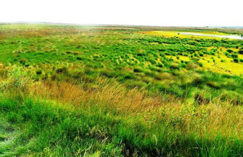 Ferienwohnung Uchte - Photo 52