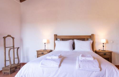 Horta dos Caracóis - Foto 56