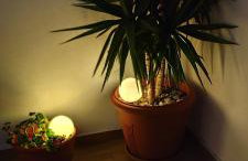 Central Apartment Near The beach with huge private terrace - Foto 29