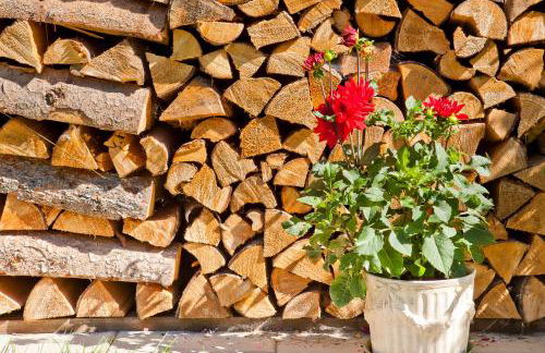 Landhaus Via Decia - Bad Hindelang PLUS Partner - Foto 32