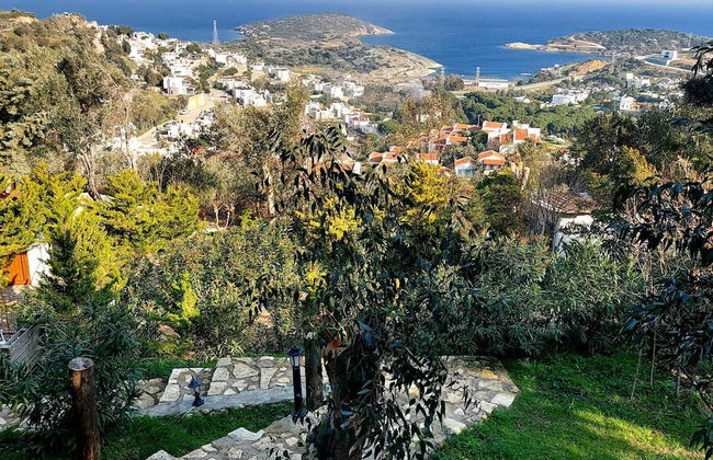 Sole Foca ( Ages 12+ ) - Foto 67