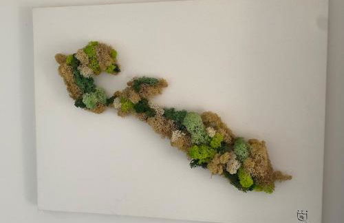 Villa rétaise de charme et de caractère - Foto 40