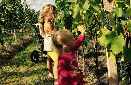 Lochererhof - Foto 56