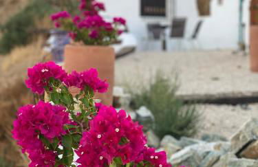 Cuevas Oro y Arcilla - Photo 56