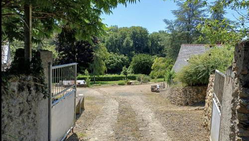 Topette, a tantôt... - Photo 2, Garden