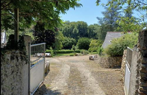 Topette, a tantôt... - Photo 2