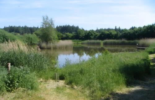 Micha's Ferienwohnung - Foto 26