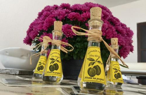 Holiday house "Mimoza" 2 massage pools - Foto 35