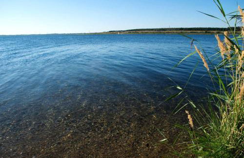 Haus zur Pulvermühle - Foto 10