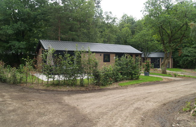 2 bedroom House in Ruinen with swimming pool and terrace - Photo 9