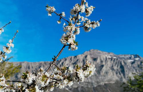 Vasilikata - Foto 97