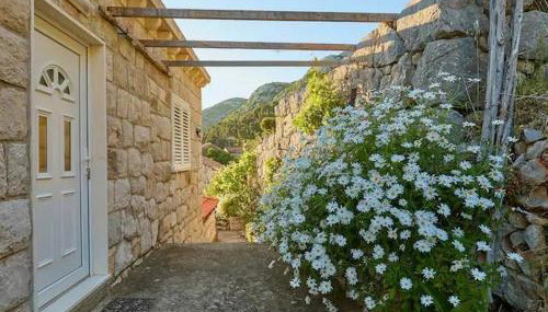 Apartments with parking space Maranovici, Mljet - 22339 - Foto 5