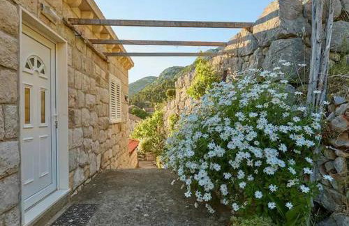 Apartments with parking space Maranovici, Mljet - 22339 - Foto 5