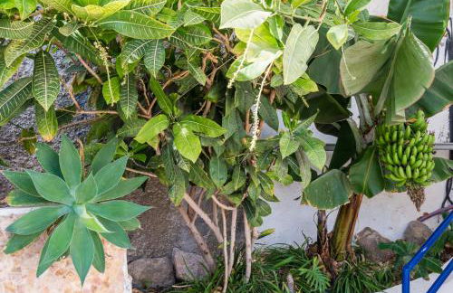 Palm Suites - Photo 14