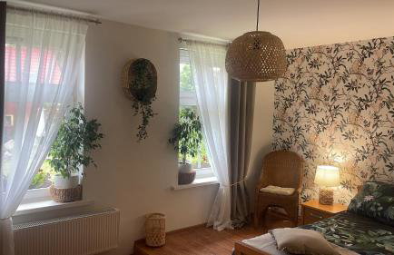 Agro na Wapniarni - Foto 14