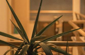 La Femme Apartment - Photo 19