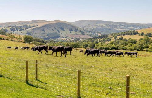 2 Bed in Llandrindod Wells oc-89063 - Foto 18