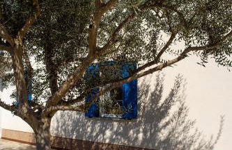 Olive Tree Apartments - Photo 32