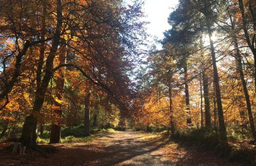 Courtyard Bothy - Foto 13