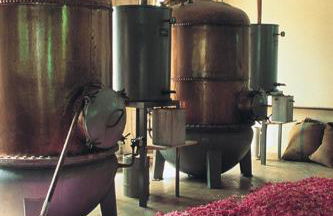 L'Esquirou - Foto 24